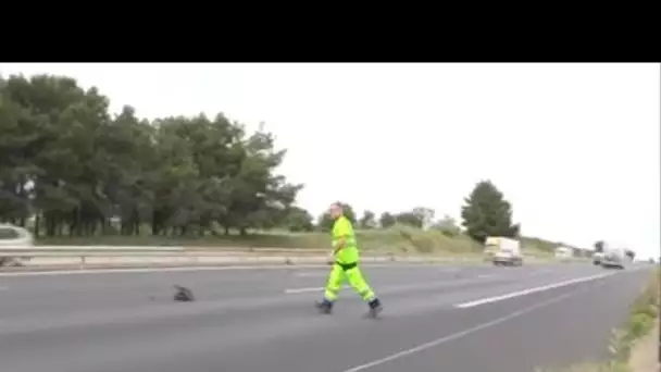 Gérer les aléas de l'autoroute, c'est son travail