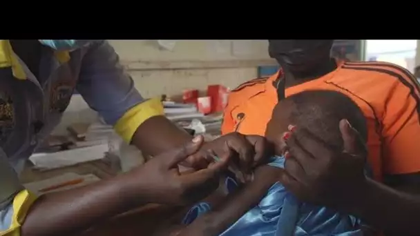 Contre le paludisme, un vaccin suscite l'espoir • FRANCE 24