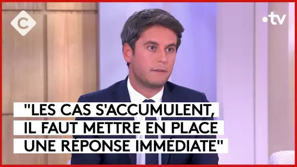 Punaises de lit : après les transports et les cinémas, les écoles ! - C à vous - 06/10/2023