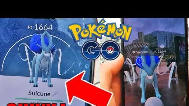 CAPTURE DE SUICUNE SHINY EN MASSE POKEMON GO ! + POKEMON SHINY DANS UN OEUF !