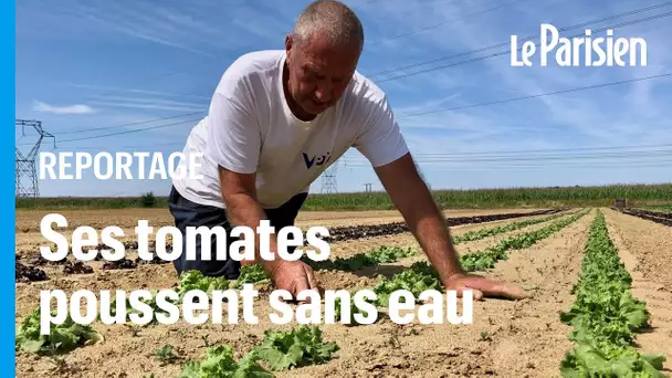 Cet agriculteur parvient à faire pousser des légumes sans une goutte d'eau