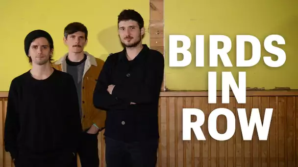 En 700 concerts, Birds in Row a fait son nid