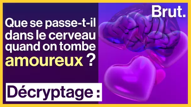 Que se passe-t-il dans le cerveau quand on tombe amoureux ?