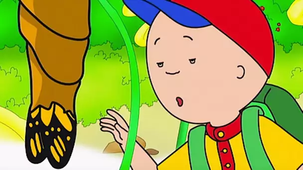 Caillou et les Papillons Surprises | Caillou en Français