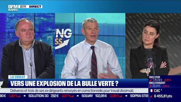 Le débat : Vers une explosion de la bulle verte ?