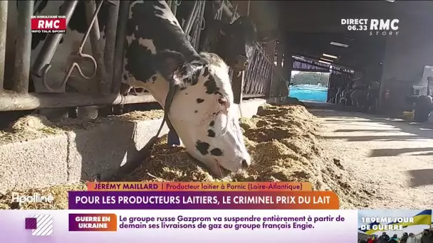 Les producteurs de lait réclament l'augmentation du prix de la brique