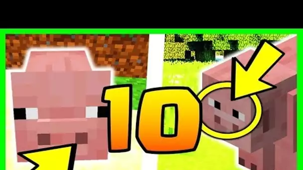 10 SECRETS SUR LES COCHONS MINECRAFT