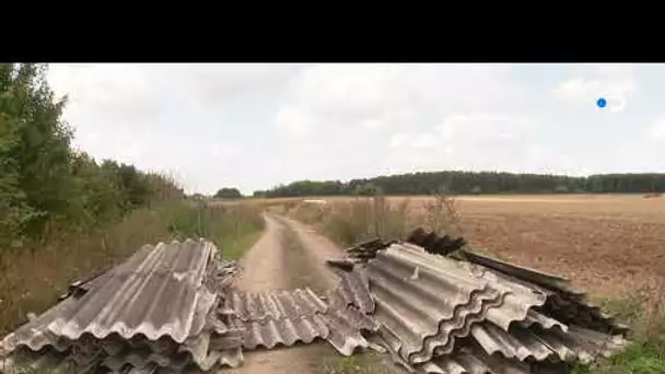 Une décharge sauvage découverte cette semaine par un maire dégouté à Thélus.