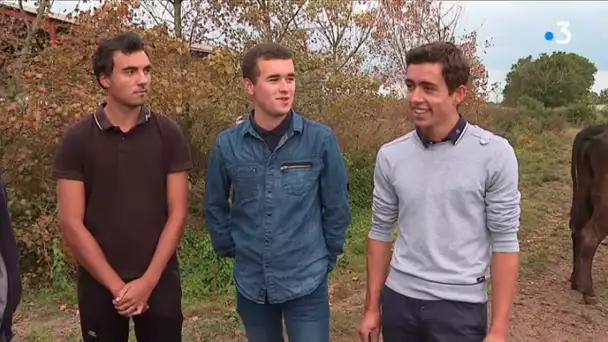 Vendée un clip pour parler des suicides d'agriculteurs