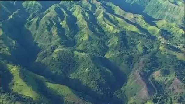 Polynésie française : Entre mer et montagne