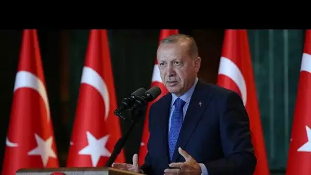 Livre turque : Erdogan assume, la population s&#039;inquiète