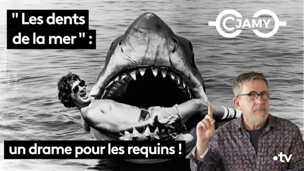 "Les dents de la mer" : un drame pour les requins ! 🦈