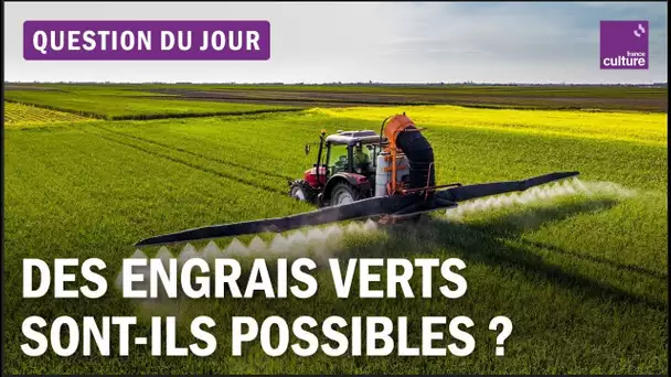 Agriculture : le coût environnemental de l'engrais