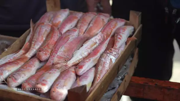 MEDITERRANEO – En Italie à Mazara del Vallo : les pêcheurs et le conflit des eaux territoriales