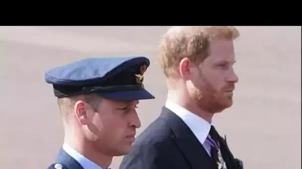 Le prince Harry sait que le prince William "a plus à perdre" alors que l'invitation au couronnement