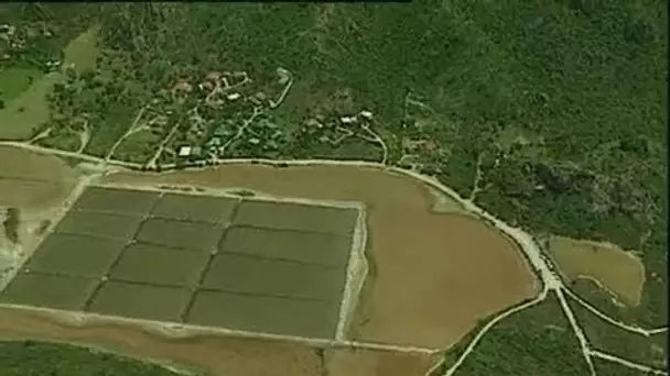 Saint Barthélemy-Guadeloupe : La Grande Saline