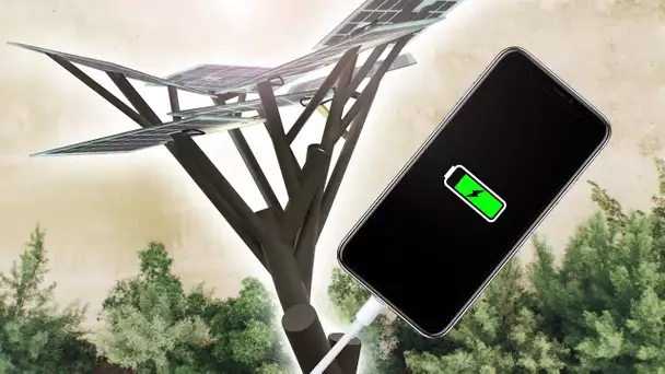 Recharger son Smartphone avec un Arbre !