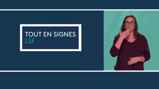 [#ToutEnSignes] Notre sélection d'informations régionales en langue des signes / Décembre 2022