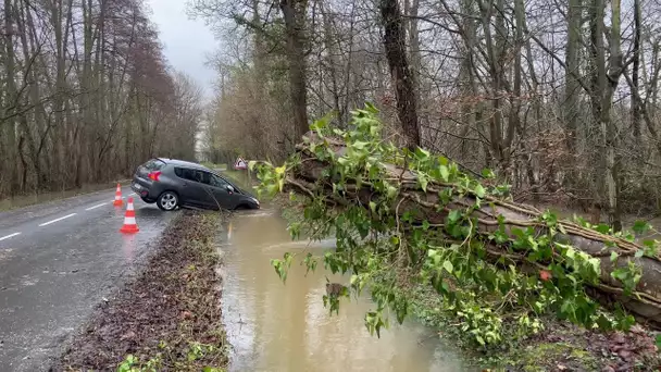 Tempête "Gérard" : dégâts et perturbations en Normandie