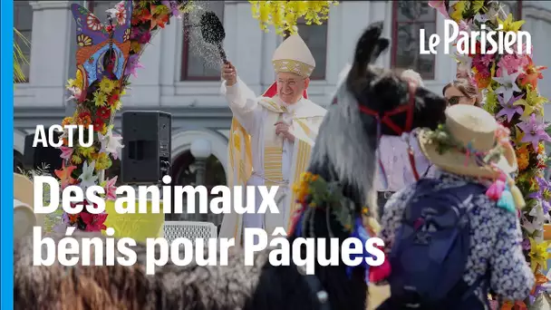 A Los Angeles, un carnaval d’animaux se fait bénir pour Pâques