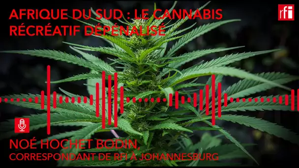 Afrique du Sud : le cannabis récréatif dépénalisé