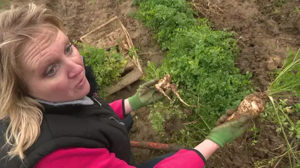 Feuilleton Les bons légumes de Sophie 1