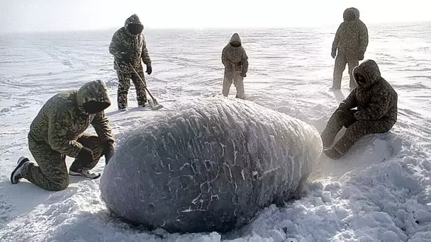Un mystérieux œuf géant découvert en Antarctique après 66 millions d'années