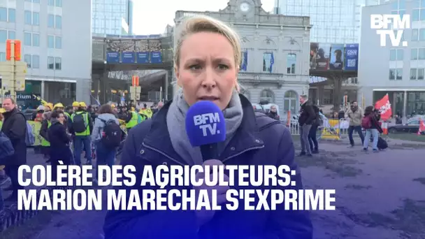 Colère des agriculteurs: l'interview de Marion Maréchal depuis Bruxelles