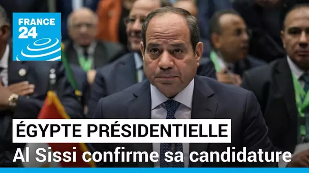 Egypte : Al Sissi confirme sa candidature pour la présidentielle de décembre • FRANCE 24