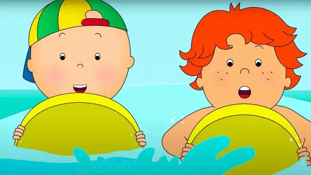 Caillou et le Surf | Caillou en Français