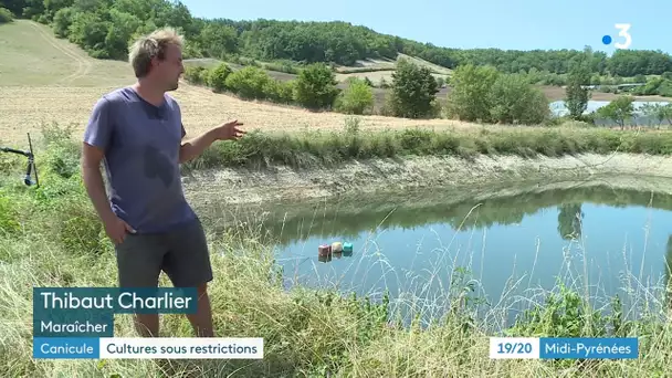 Sécheresse : la difficile gestion de l'eau pour les maraîchers et arboriculteurs