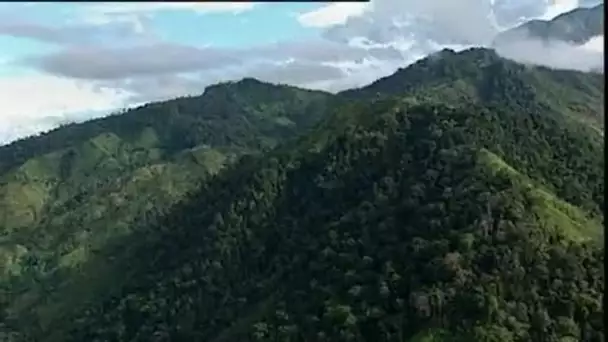 Costa Rica : Monts, nuages et plaine