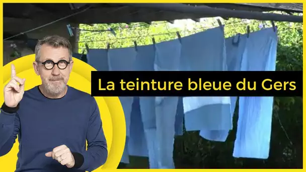 La teinture bleue du Gers - C Jamy