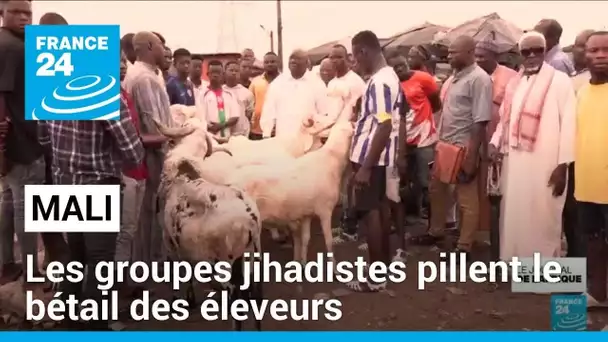 Mali : les groupes jihadistes pillent le bétail des éleveurs • FRANCE 24