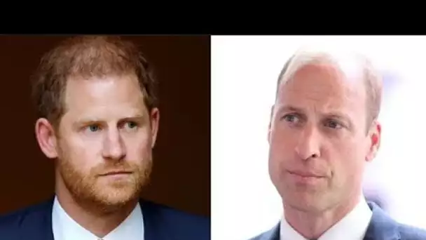 Le prince Harry va « s'en prendre » lorsque William sera roi avec un geste majeur