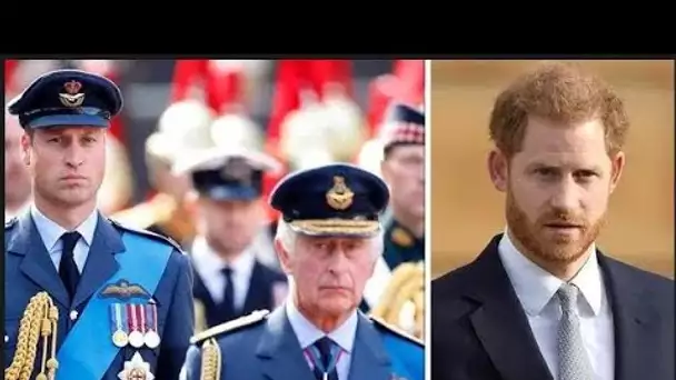 Harry demande à rencontrer Charles et William avant de se rendre au Royaume-Uni pour le couronnement