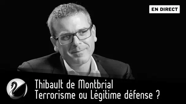 Terrorisme ou Légitime défense ? Thibault de Montbrial [EN DIRECT]