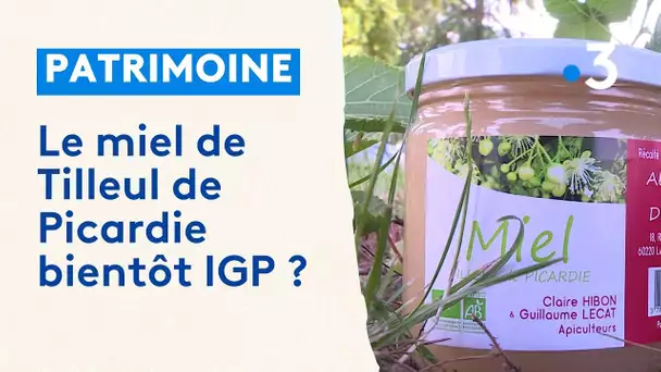 "L'un des plus purs de France" : le miel de tilleul de Picardie en passe d'obtenir un label IGP