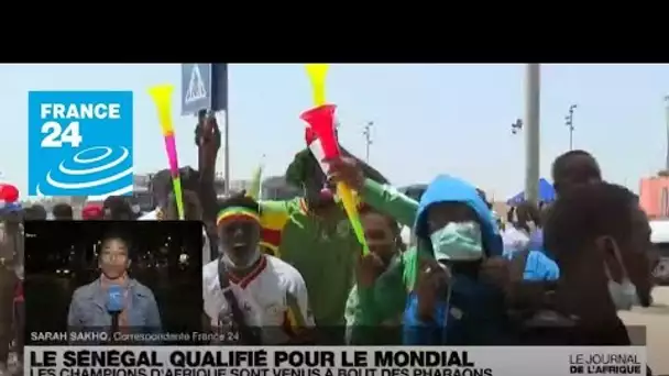 "Chaude ambiance à Dakar" : Le Sénégal, champion d'Afrique, qualifié pour le Mondial-2022