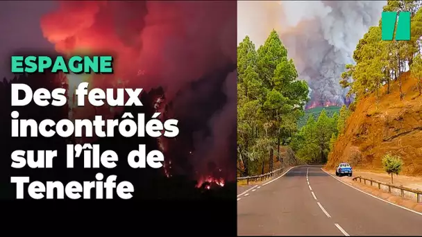 Les images terrifiantes des incendies à Tenerife en Espagne