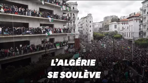Les images de la marée humaine à Alger contre un 5e mandat de Bouteflika