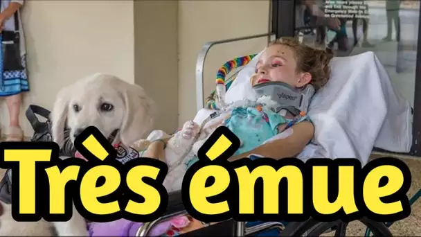 Une fille paralysée rencontre avec beaucoup d’émotion sa future chienne d'assistance
