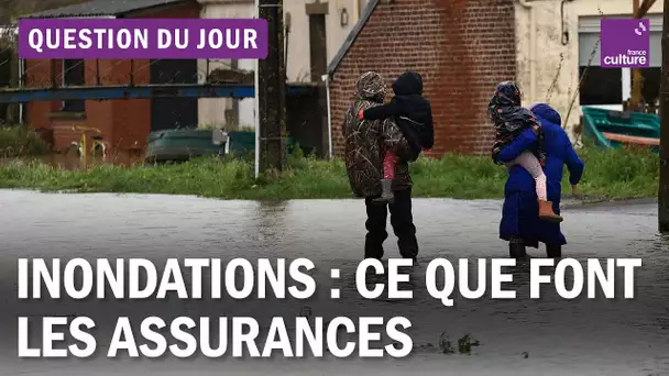 Les assurances sont-elles à la hauteur des catastrophes climatiques ?