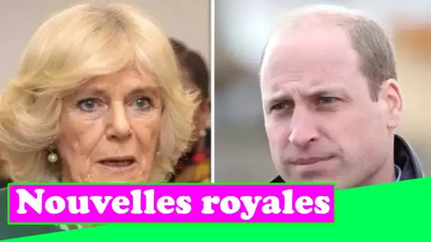 Le futur titre de Camilla en tant que membre de la famille royale est entre les mains du prince Will