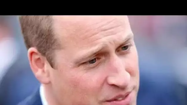 Le prince William enragé par la présentation par The Crown d'une "guerre totale" entre Charles et Di