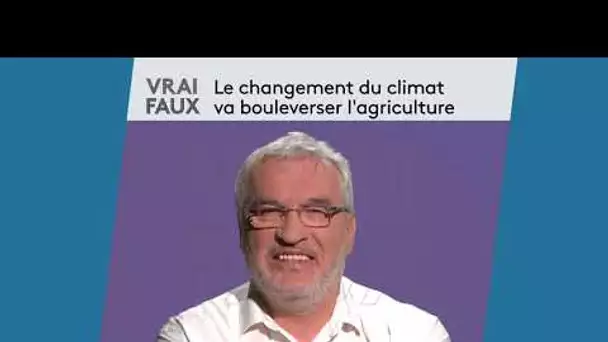 Vrai ou faux : Le changement du climat va bouleverser l’agriculture