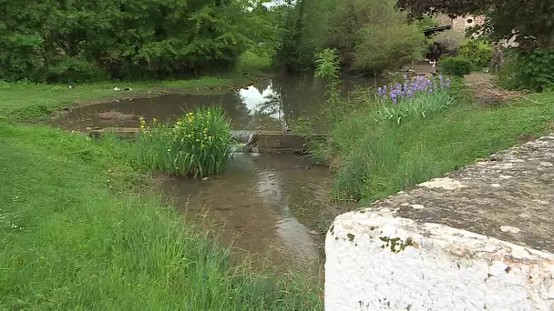 Saône-et-Loire : premières restrictions d'usages de l'eau dues à la sécheresse
