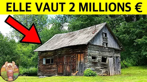 10 MAISONS INCROYABLES QUI EXISTENT VRAIMENT | Lama Faché