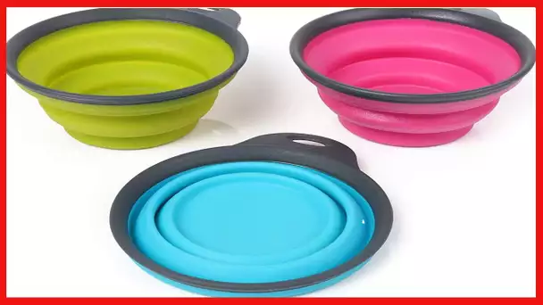 Dexas Popware for Pets Collapsible Travel Cup, Small, Gray/Blue