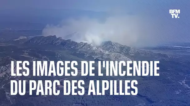 Les images de l'incendie du parc des Alpilles